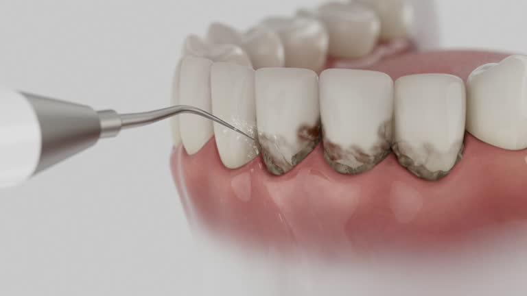 Reliable Dental contractor in Alum Creek, WV by Dentist Open Now